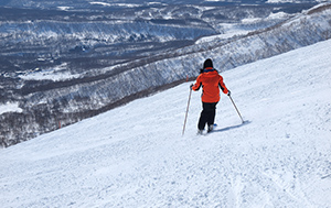 Niseko